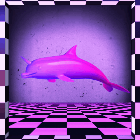 unicorn-dolphin-gif.GIF