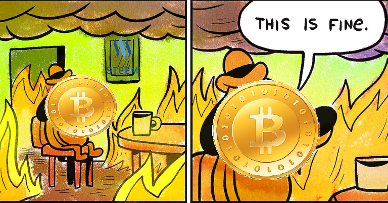 bitcoin holders.png