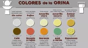 tabla de colores.jpg