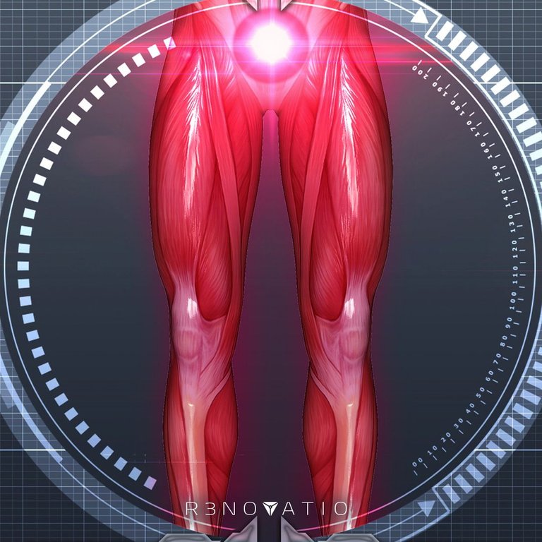 Root ElectroMagnetic Center.jpg