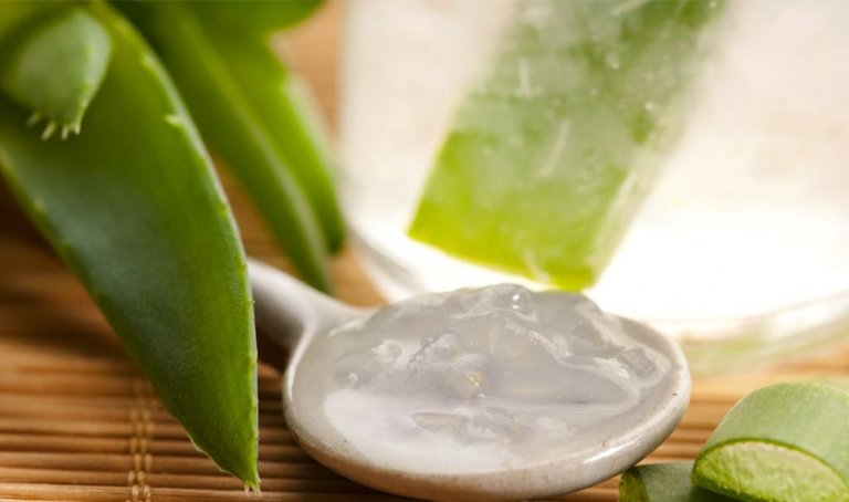 cuales-son-los-beneficios-de-comer-aloe-vera-1024x605.jpg