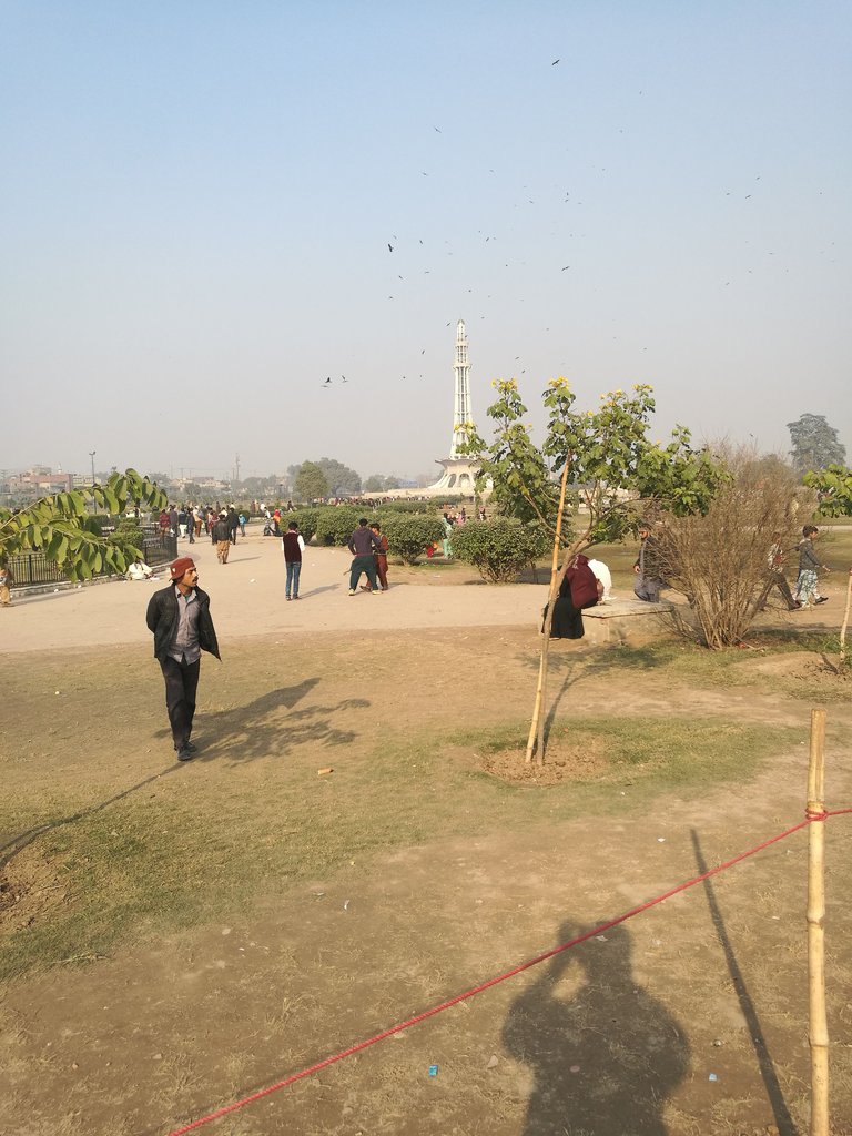 IMG_20180101_141950.jpg