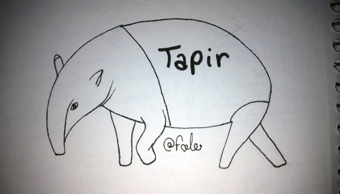 tapir.jpg