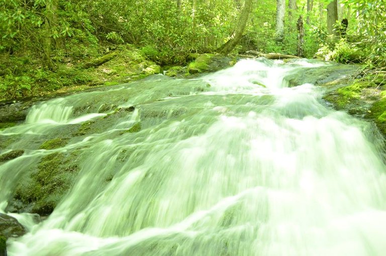 Great Smoky Mountains National Park.3.jpg