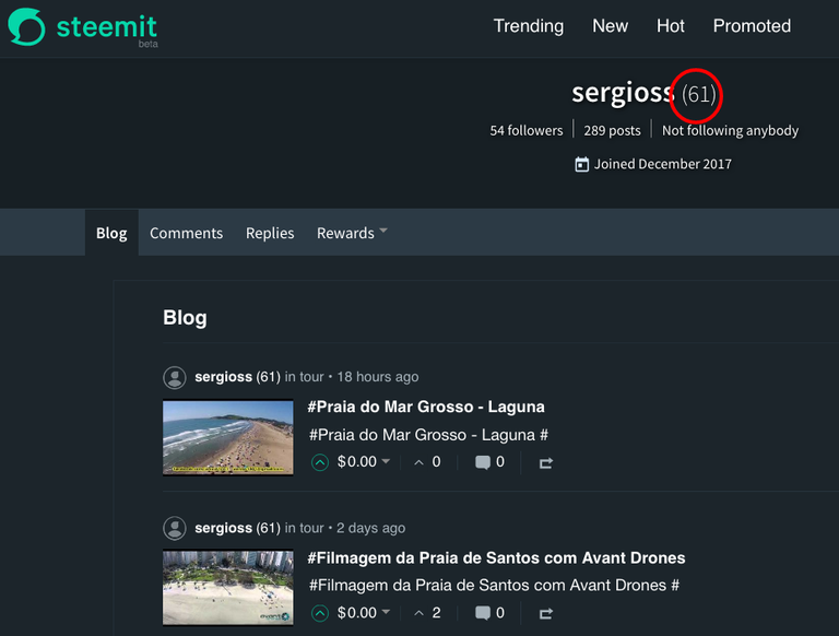 sergioss — Steemit.png