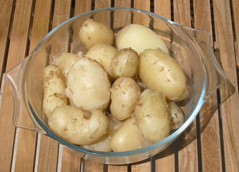 Jersey_Royal_potatoes_boiled.jpg