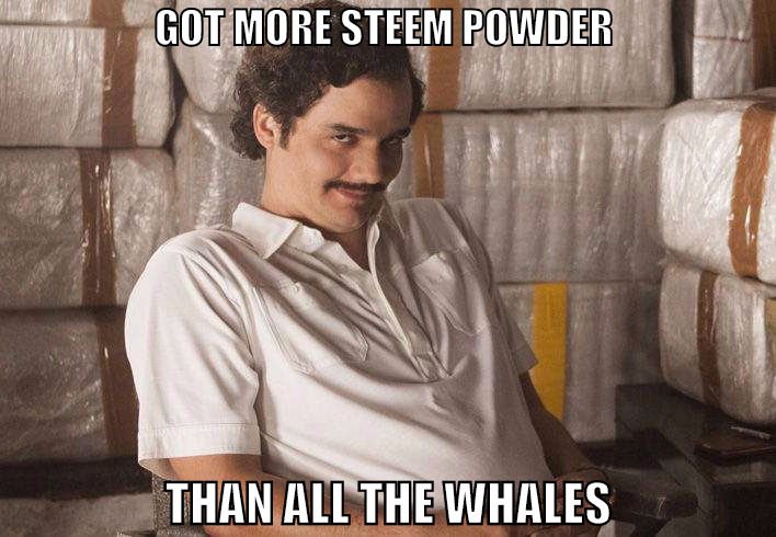 STEEM POWDER.jpg