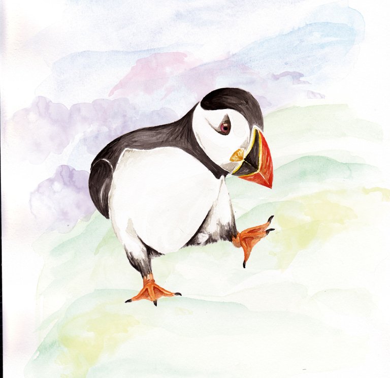 puffin-plus-achtergrond-2 b.jpg