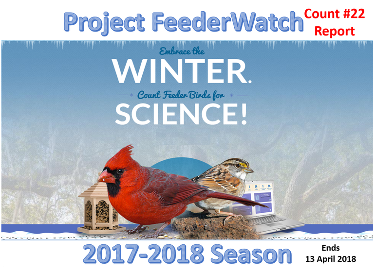 project feederwatch march 2018 image.jpg