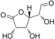 180px-Glucuronolactone.png