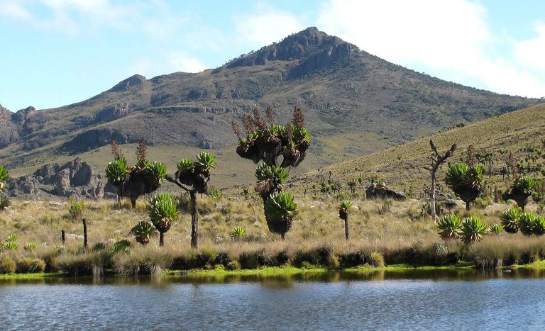 mount-elgon-national-park.jpg