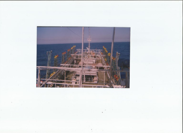 Scan1.jpg 1.jpg