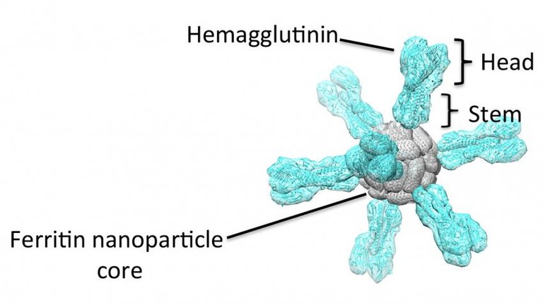 sn-flu1.jpg