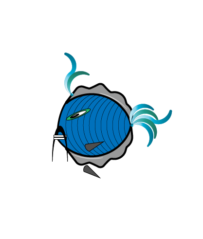 avatar-minnow-02.png