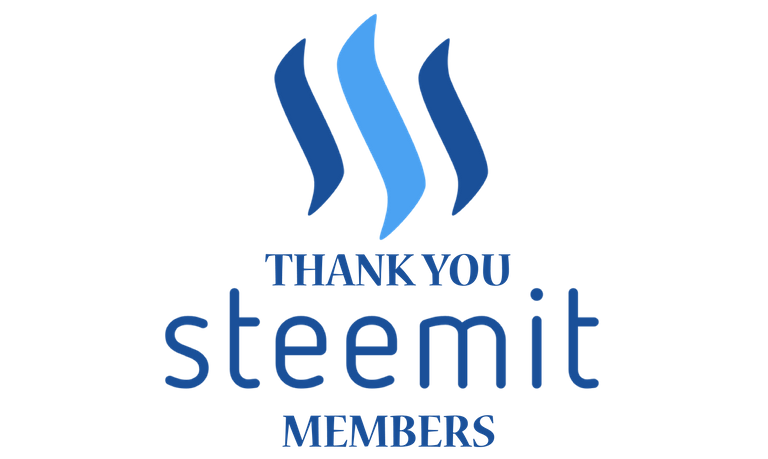 Steemit-big123.png