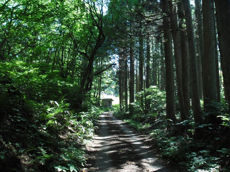 SAM_0189 Road to Seitai Hoshikai Convent, Akita, Japan.JPG