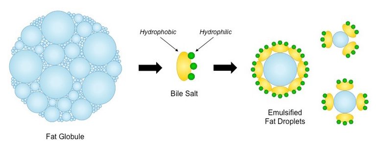 emulsification_med.jpeg