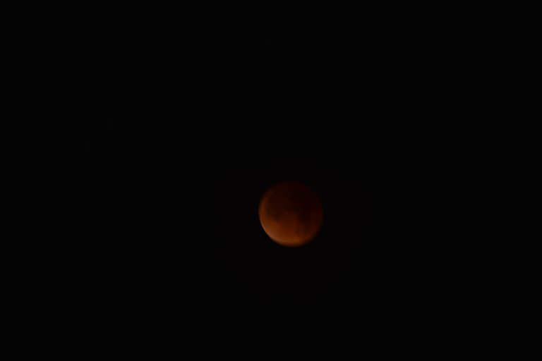 DSC_1396.JPG