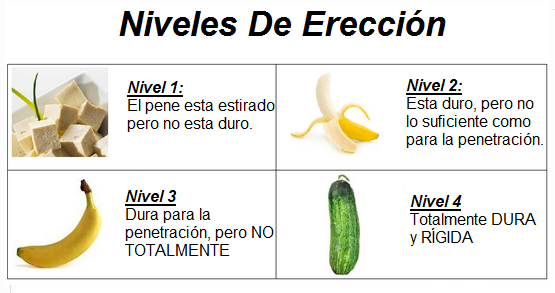 NIV DE EREC.png