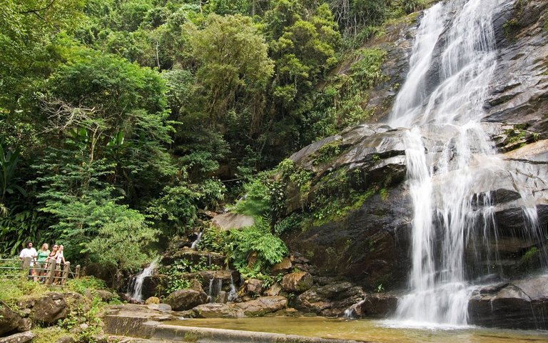 tijuca-national-park-rio1215.jpg