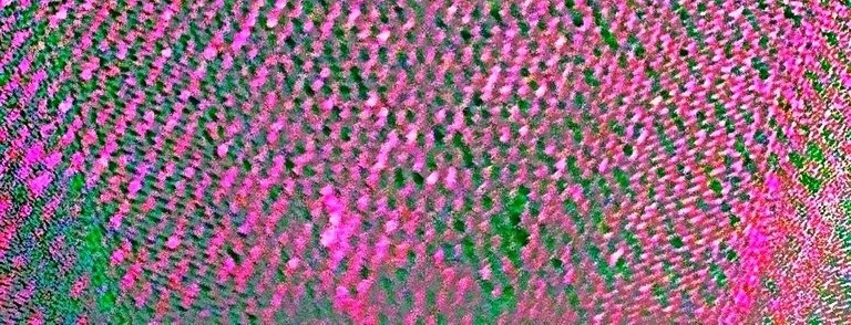 pinkgreen-negjeansblend.jpg
