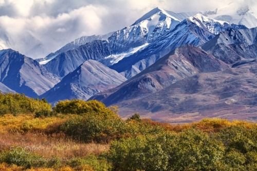 alaska range in autumn.jpg