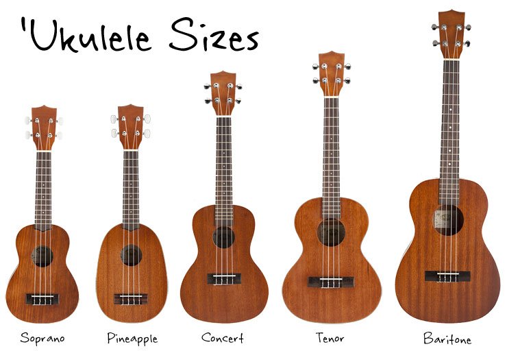 ukulelesizes.jpg