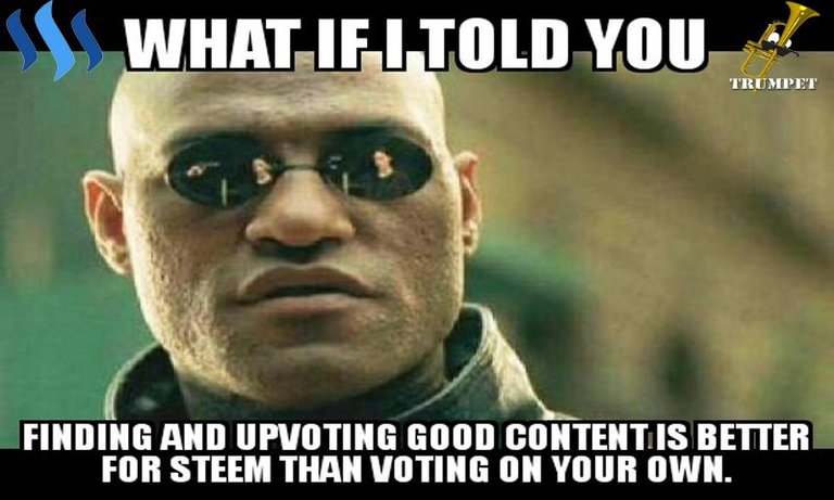 Matrix Morpheus no self vote.jpg