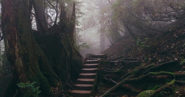 yakushima-hike.jpg