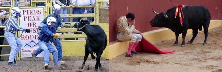cowcruelty.jpg