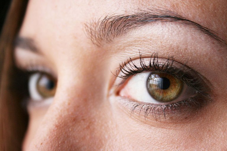 800px-Hazel-green_eye_2.jpg