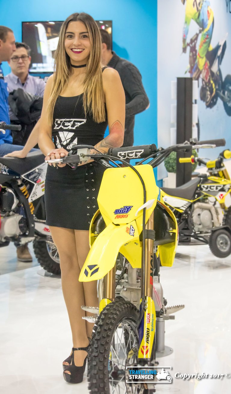 Motocross model 2.jpg