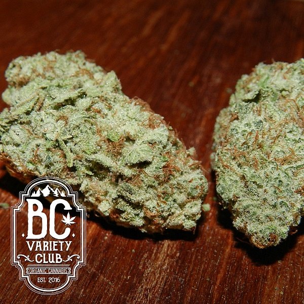 white-widow-600x600.jpg