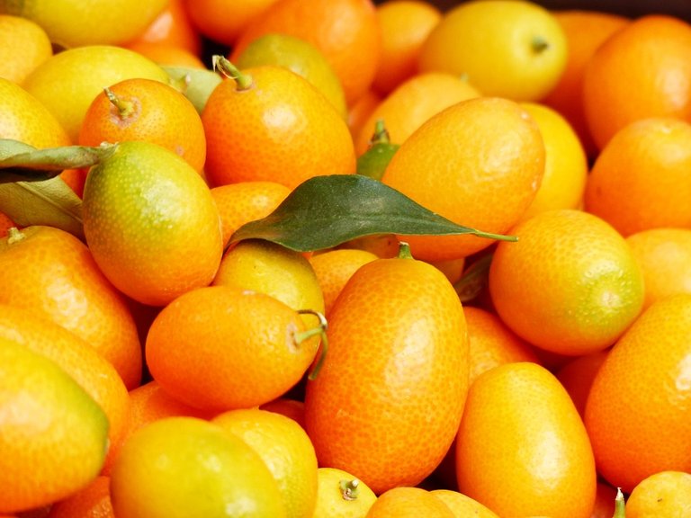 kumquats-357881_960_720.jpg