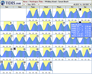 tide tables for different areas.png