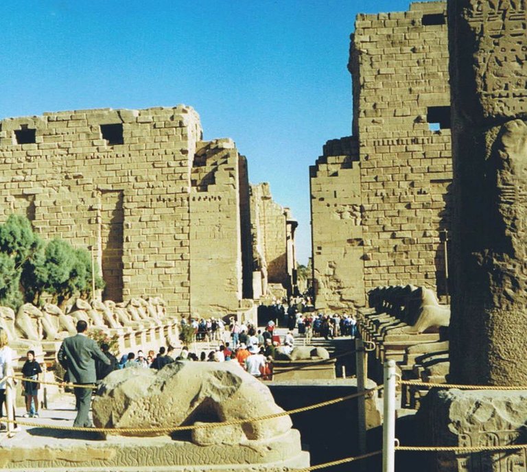 Bi4-Widder-T-Karnak.JPG