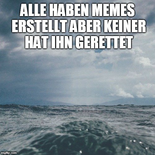 Meme Contest Sieger