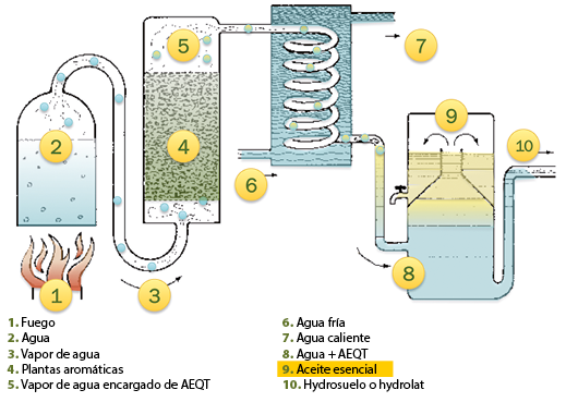 Schema_distillacion.png