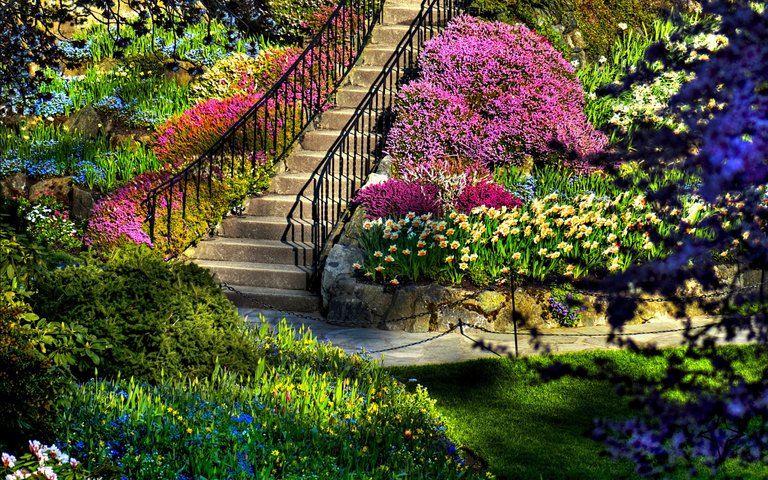 Beautiful-Nature-Garden-HD-Wallpaper.jpg