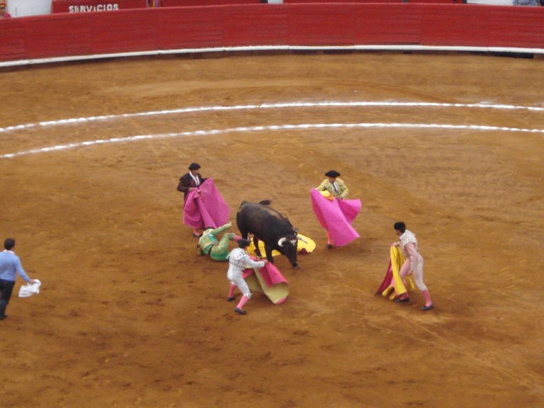 Bull Fight14.JPG