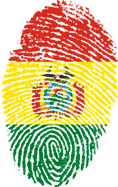 bolivia-654236_640.png