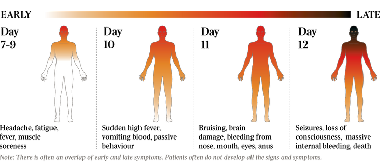 Ebola-symptoms-crop.png