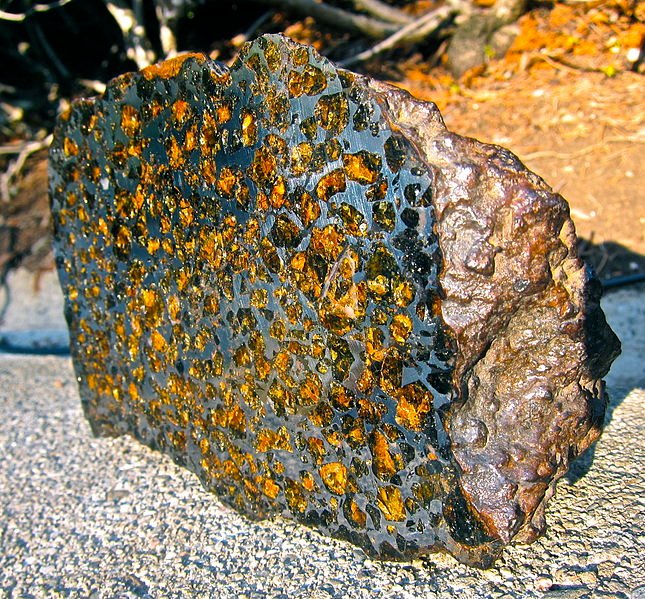 645px-Brahin_pallasite,_endcut.jpg