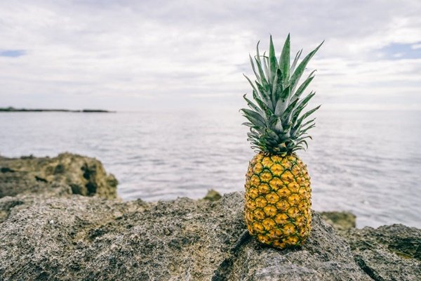 pineapple-fund2.jpg