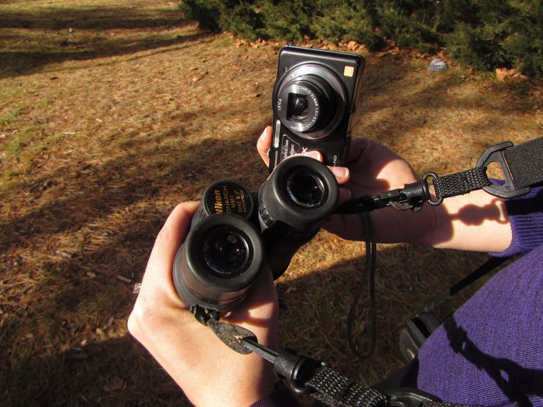 Camera & Binoculars.jpg