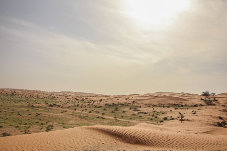 desert-rak-2.jpg