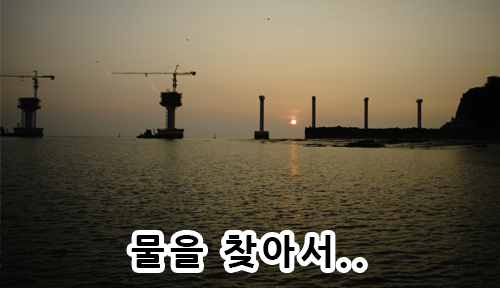 메인 화면용.png