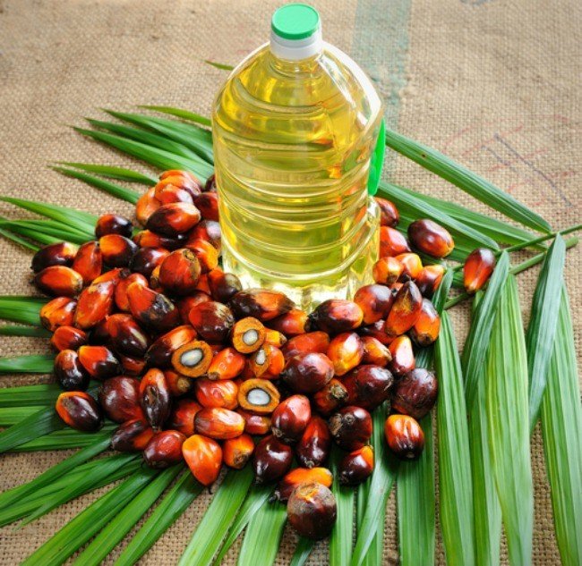 Palm Oil .jpg