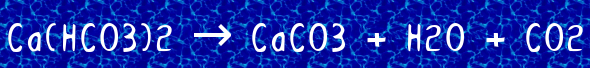 coollogo_com-35691524.png