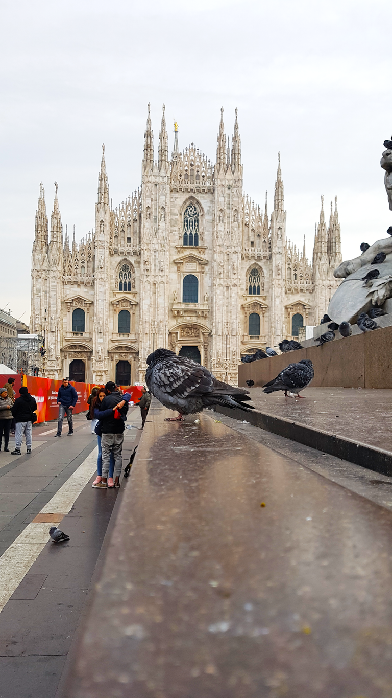 Duomo di Milano Cathedral 2.png